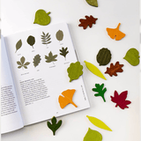 Lernspiel - Woodland Leaves von Moon Picnic