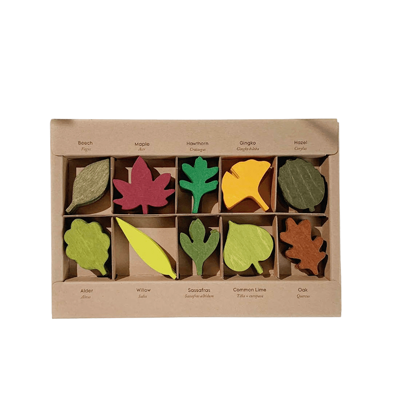 Lernspiel - Woodland Leaves von Moon Picnic
