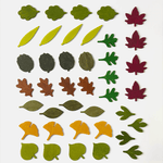 Lernspiel - Woodland Leaves von Moon Picnic