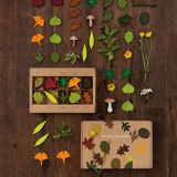 Lernspiel - Woodland Leaves von Moon Picnic