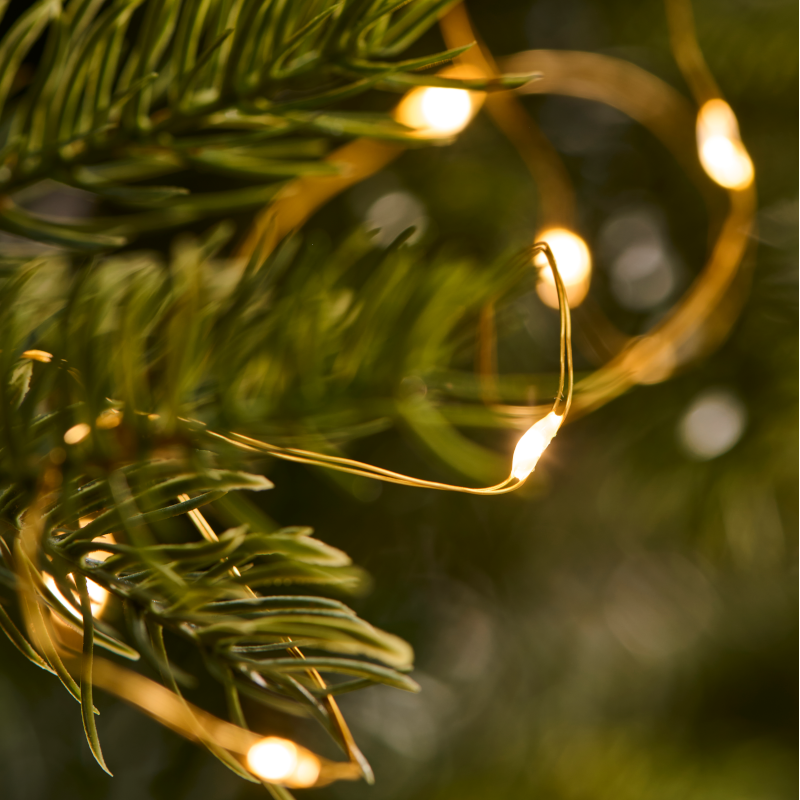 Lichterkette - Outdoor gold von IB Laursen