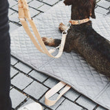 MiaCara - Bergamo Braided Leather Leash Brown