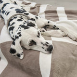 MiaCara - Dog Blanket Blocco Taupe/Natural L