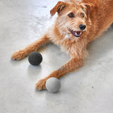 MiaCara - Dog toy Globo Nougat M