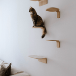 MiaCara - Kletterstufe  Parete Eiche/Filz S