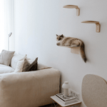 MiaCara - Kletterstufe  Parete Eiche/Filz S