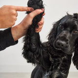 MiaCara - Paw and Nose Balm Zampa