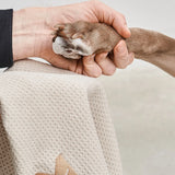 MiaCara - Paw Foam Cleaner Spuma