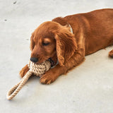 MiaCara - Rope Toy Nodo Chocolate