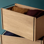 MOEBE - Box Storage Oak/black

