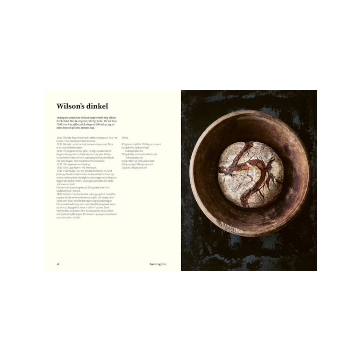 New Mags - Buch Sourdough for All

