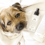Norfolk natural living - Dog Cologne Coastal