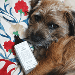 Norfolk natural living - Dog Cologne Coastal