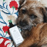 Norfolk natural living - Dog Cologne Coastal