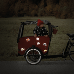 Aufkleber reflektierend - Brumm von NUUKK