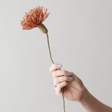 Papierblume - Chrysanthemum dark ochre von Studio About