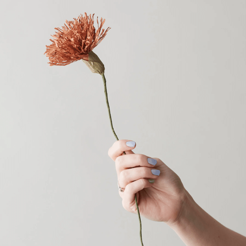 Papierblume - Chrysanthemum dark ochre von Studio About