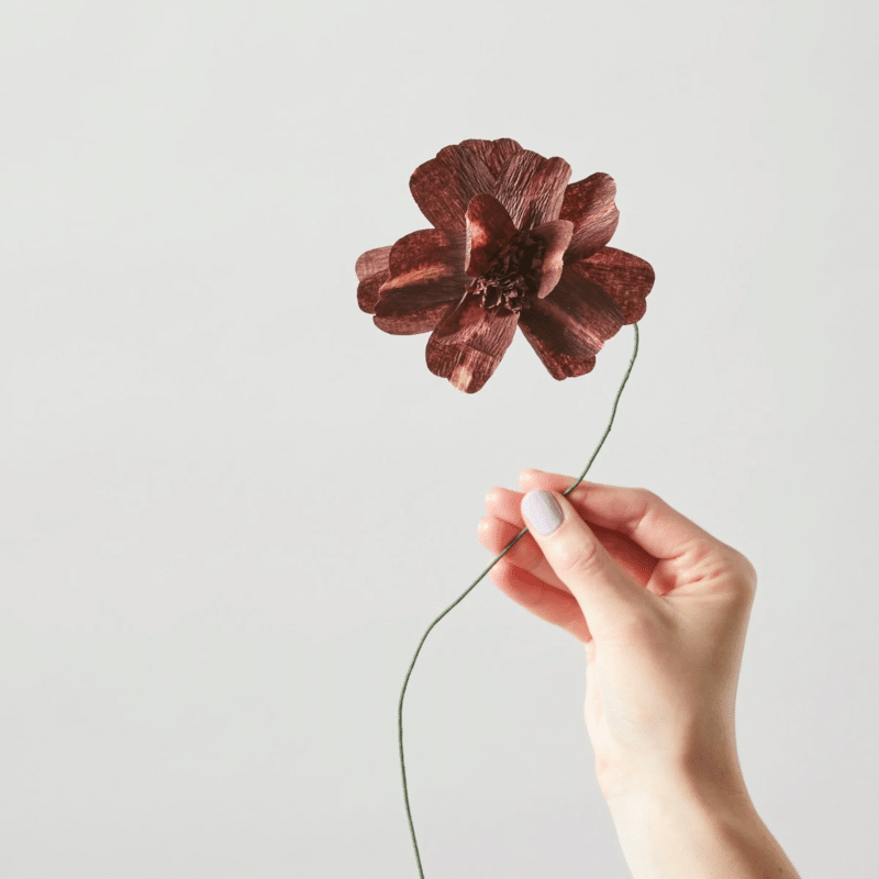 Papierblume - Daisy bordeaux von Studio About