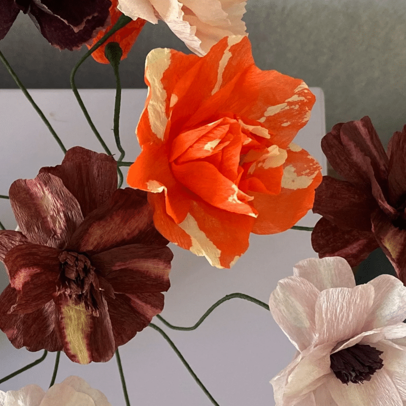 Papierblume - Daisy bordeaux von Studio About