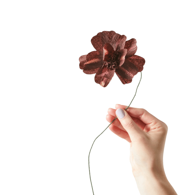 Papierblume - Daisy bordeaux von Studio About