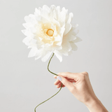 Papierblume - Daisy purple von Studio About