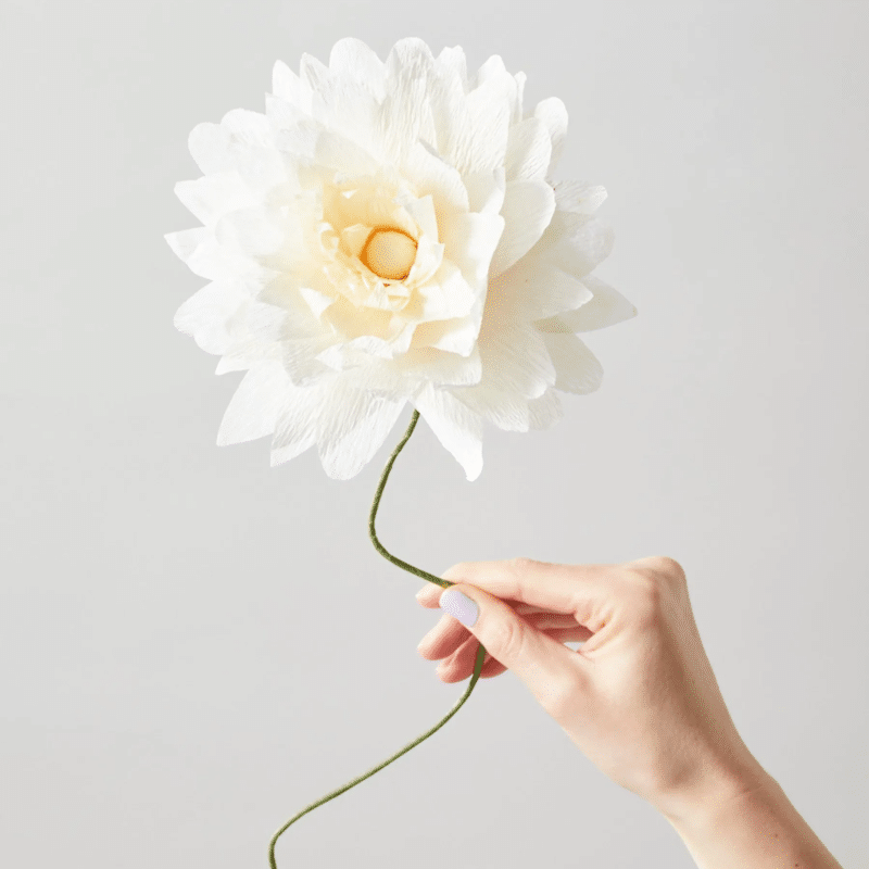 Papierblume - Daisy purple von Studio About