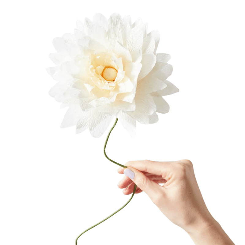 Papierblume - Daisy purple von Studio About