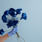 Papierblume – Ice Poppy blue von Studio About