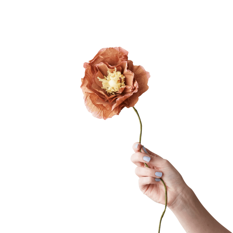 Papierblume - Ice Poppy dark ochra von Studio About