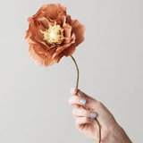Papierblume - Ice Poppy dark ochra von Studio About