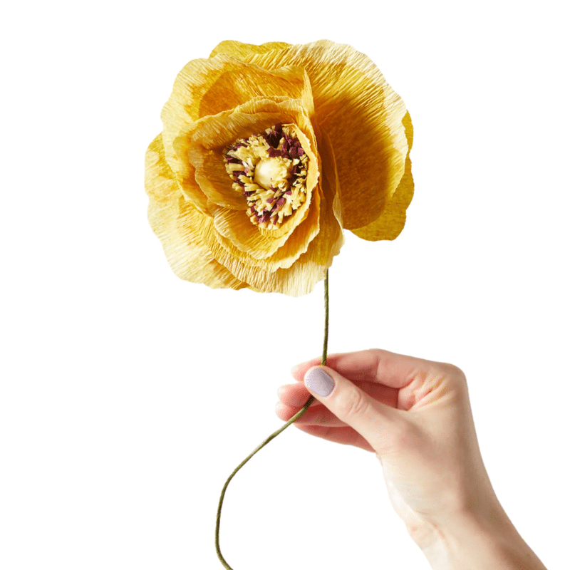 Papierblume - Ice Poppy ochra von Studio About