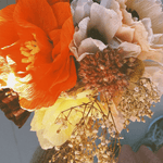 Papierblume - Peony aubergine von Studio About