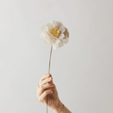 Papierblume - Peony grey von Studio About