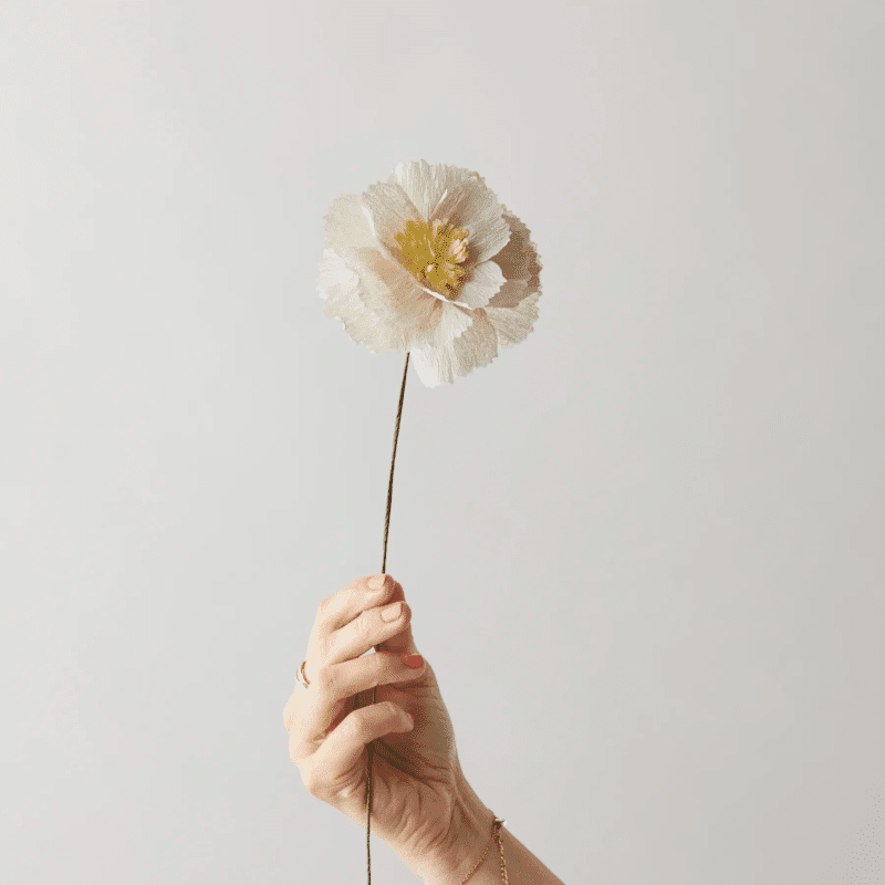 Papierblume - Peony grey von Studio About