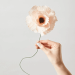 Papierblume - Peony nude von Studio About