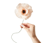 Papierblume - Peony nude von Studio About