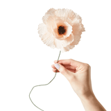 Papierblume - Peony nude von Studio About