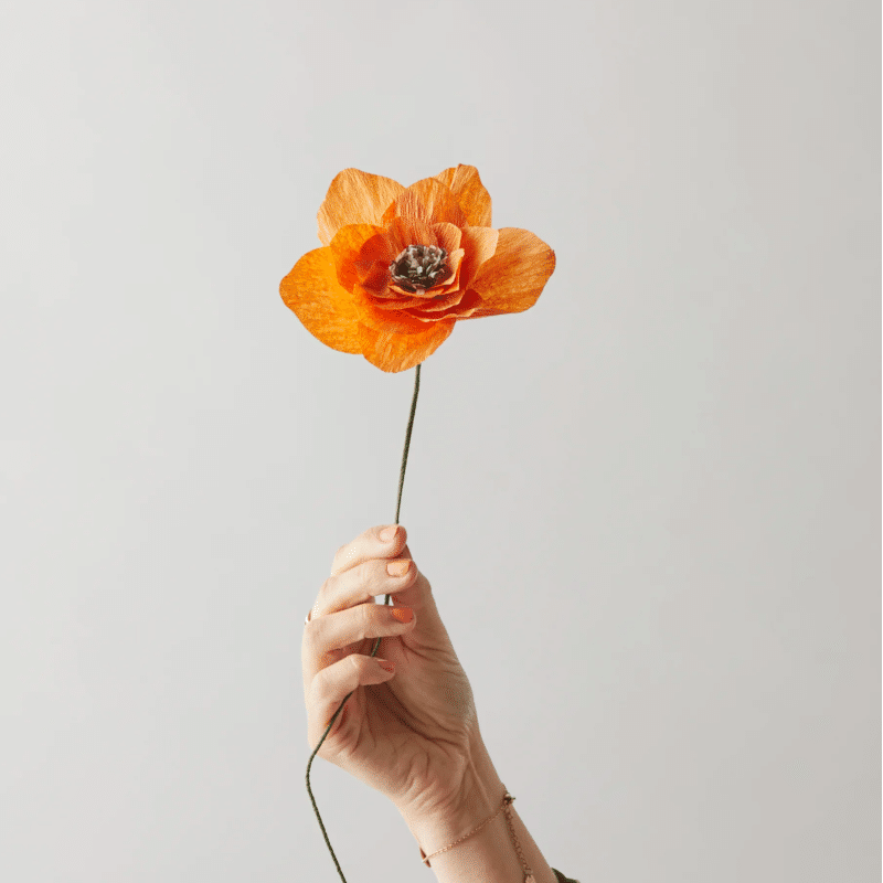 Papierblume - Poppy orange von Studio About
