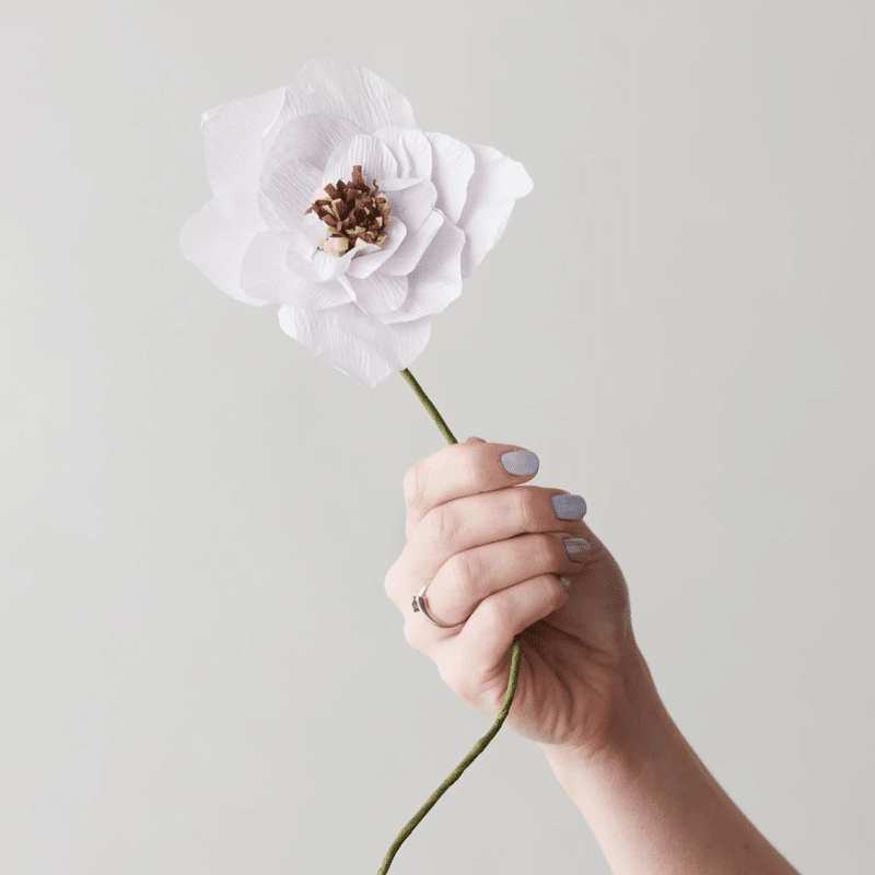 Papierblume - Poppy purple von Studio About