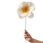 Papierblume - Rhapsody rose sand von Studio About
