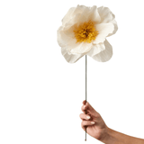 Papierblume - Rhapsody rose sand von Studio About