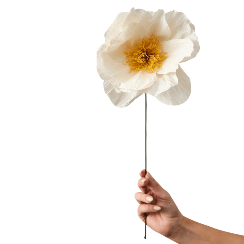 Papierblume - Rhapsody rose sand von Studio About
