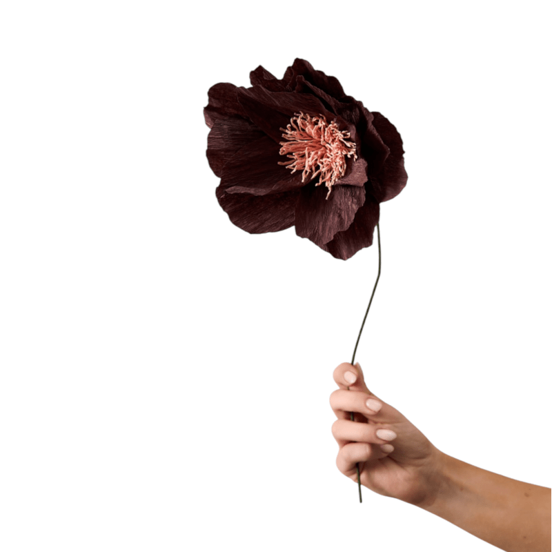 Papierblume - Rhapsody rose sand von Studio About