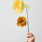 Papierblume - Windflower orche von Studio About