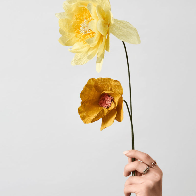 Papierblume - Windflower orche von Studio About