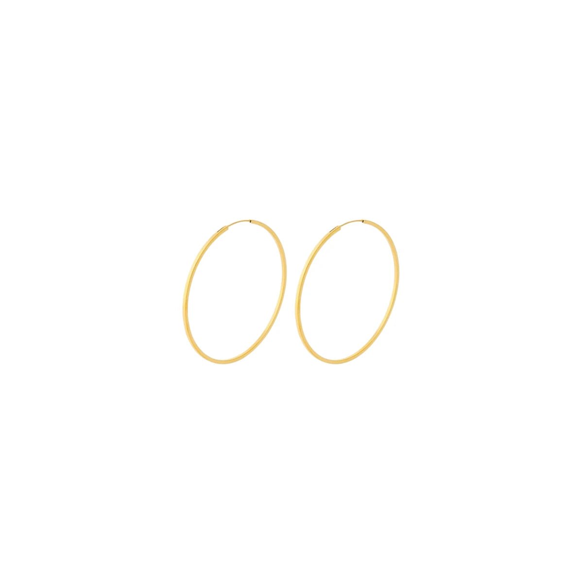Pernille Corydon - Hoops Orbit gold

