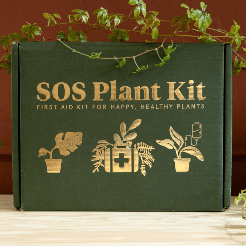 Pflanzenkit - SOS first aid von Botanopia