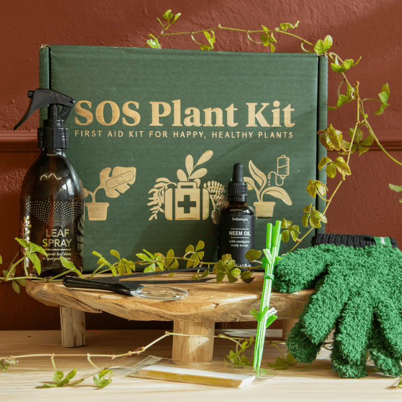 Pflanzenkit - SOS first aid von Botanopia
