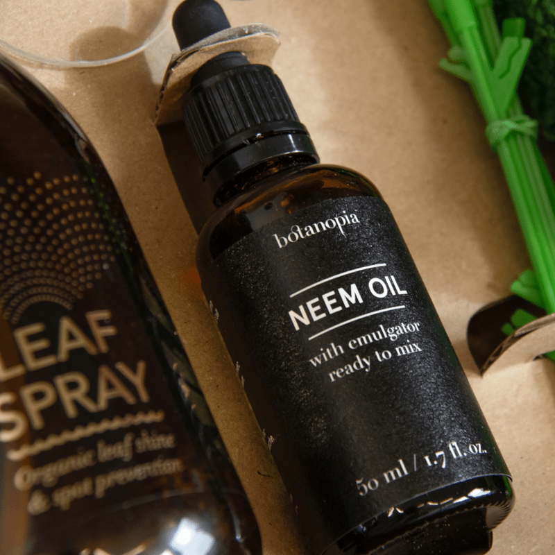 Pflanzenkit - SOS first aid von Botanopia