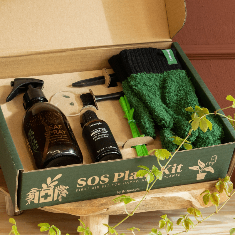 Pflanzenkit - SOS first aid von Botanopia
